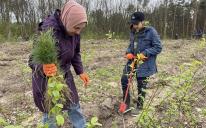«Плекання природи — наш пріоритет»: мусульмани Львівщини приєдналися до акції садіння дерев