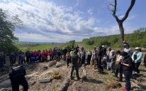 Як дерева стали символом надії, віри та боротьби за Україну