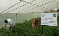 Greenhouses For Low-Income Families