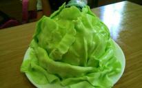 Kids Are Unlikely To Refuse Such “Cabbage”