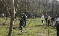 В Днепропетровске мусульмане, христиане и иудеи заложили парк на месте бывшей свалки, работая бок-о-бок