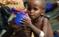 اتحاد المنظمات الإسلامية في أوروبا يصدر بيانا حول مأساة الجفاف والمجاعة في القرن الأفريقي