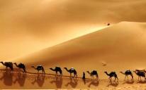 New year of 1434 by Muslim calendar: lessons of Hijra for daily uses