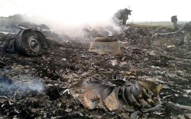 Сочувствуем по поводу катастрофы самолета на Донбассе