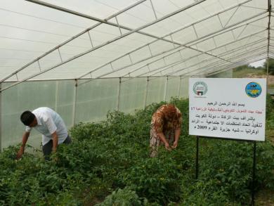 Greenhouses For Low-Income Families