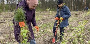 "Nurturing nature is our priority": Muslims of Lviv Region joined the tree planting campaign