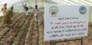 Alraid realizes project on building 150 hothouses in Crimea