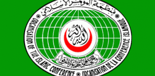 "&#1040;lraid" participates in International Conference