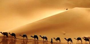 New year of 1434 by Muslim calendar: lessons of Hijra for daily uses