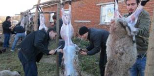 AUASO "Alraid" aspires to bring Pleasure of Id al-Adha (Kurban-Bayram) to Homes and Hearts of Muslims of Ukraine