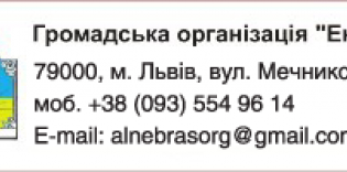 Организации