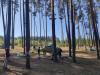 Простые мальчишечьи радости: состоялся двухдневный поход с палатками в Коростышевский каньон
