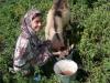 Больше «долговременной милостыни»: одесские мусульманки помогли еще двум вдовам