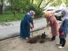 Planting Trees of the Eve of Ramadan: Zaporizhzhia Muslims’ Longlasting Charity