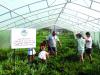 Greenhouses For Low-Income Families