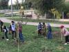 Мусульмане вместе со всей Украиной сажали миллион деревьев за 24 часа