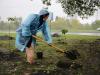 Мусульмане вместе со всей Украиной сажали миллион деревьев за 24 часа