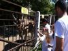 في إطار فعاليات "صيف الرائد 2011" .. رحلة إلى حديقة الحيوانات في مدينة خاركوف