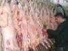 حكم شراء اللحوم والدواجن في أسواق أوكرانيا