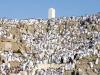 190 حاجا من أوكرانيا يصعدون جبل عرفات في مكة المكرمة
